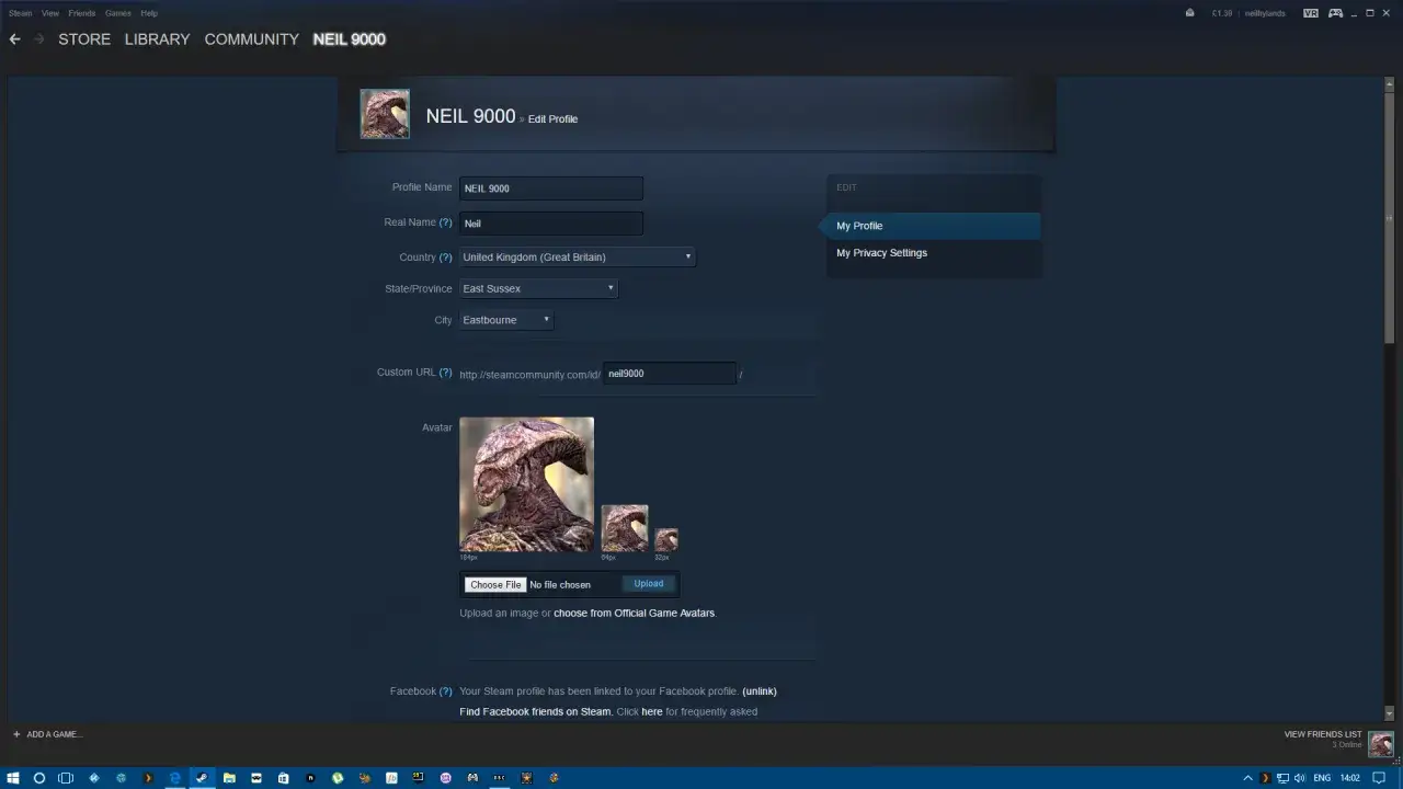Edytowanie profilu Steam, gdzie widać pole 