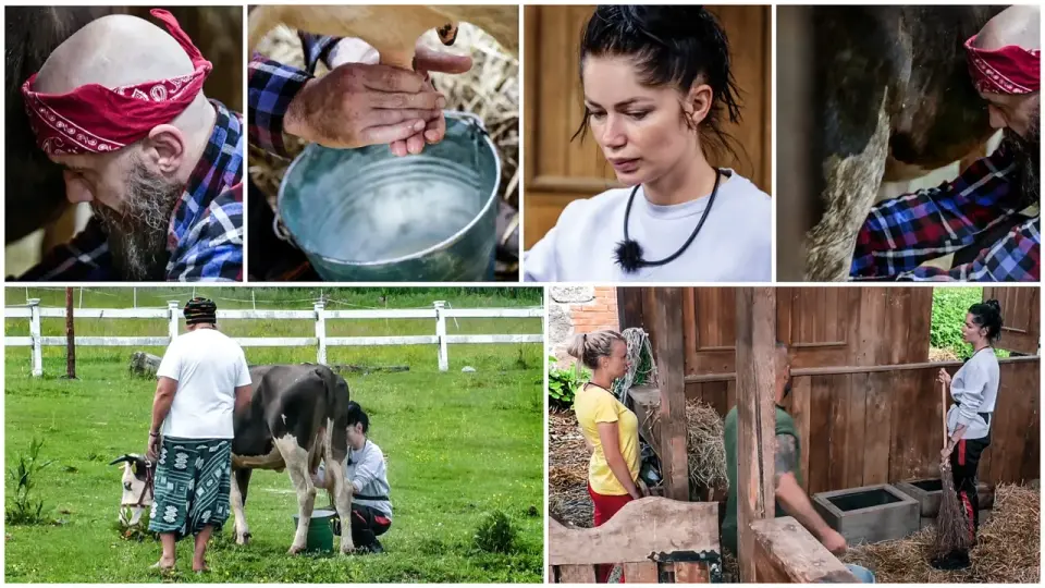 Wolni Farmerzy - Czy ta spokojna farma jest dla Ciebie?